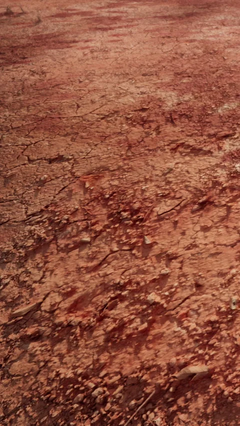 The ground has visible cracks and a dry texture Stock Footage 341987131