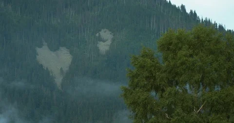 The ground heart on the mountains covered with forests during the thick fog. Stock Footage 82797232