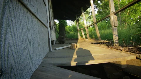 Ground Hog Stock Footage 52793335