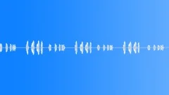 Ground Hornbill calling - SFX EXTREMELY RARE Sound Effect