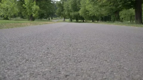 Ground level and up in the trees and sky Video stock 133201717