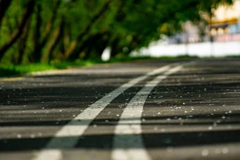 Ground-Level Close-Up of Asphalt Path with White Dividing Lines 写真素材