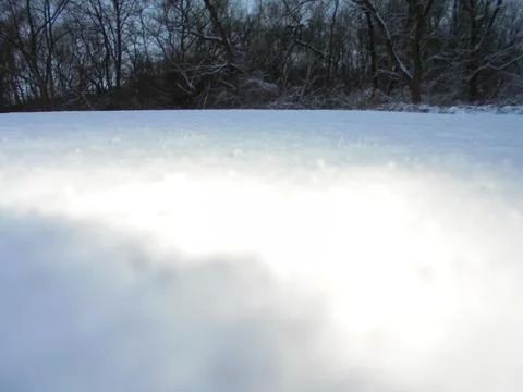 Ground-level close-up of fresh snow with riparian forest in winter Stock Photos