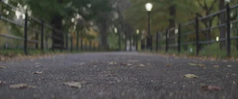 Ground Level Down a Path in a New York City Park Stock Footage 208760236