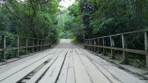 Ground-Level Drive Through Old Wooden Bridge in Dense Atlantic Forest Vídeos de archivo 334617582