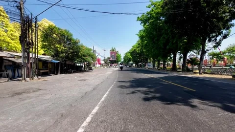 Ground Level Drive Through Probolinggo Tree Lined Road Stock Footage 345151516