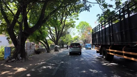 Ground Level Drive Under Tree Canopy Indonesian Street Stock Footage 345149917