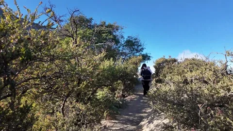Ground Level Hike Through Ijen Volcano Shrubland Видео 345155587