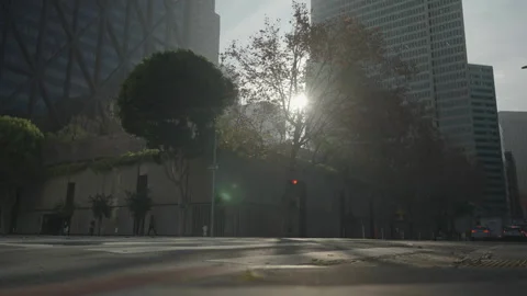 Ground level intersection with trees and buildings, San Francisco Stock Footage 333580646