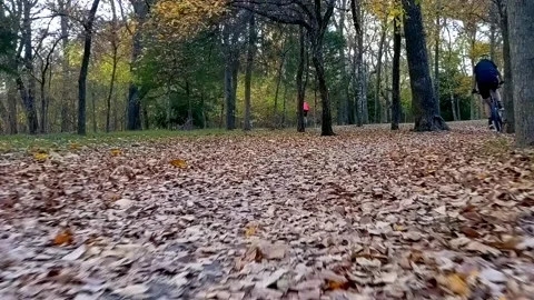 Ground-level jog behind bikes through trees on trail covered with fallen leaves 库存影片 143441934