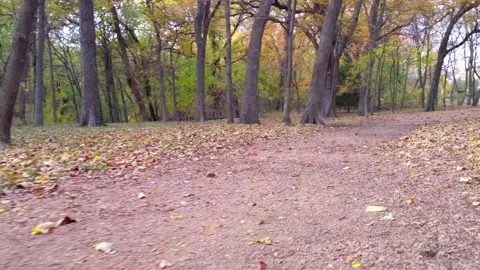 Ground-level jog on dirt trail with fallen leaves, girl jogger running by camera Vídeo Stock 165578108