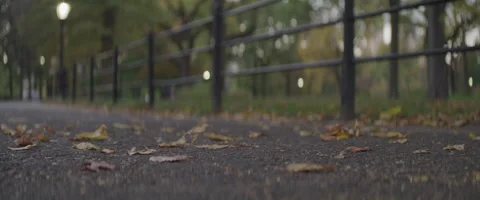 Ground Level of Leave Blowing on a New York City Park Path Stock-Footage 208760249