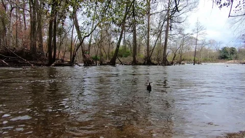Ground Level Pan Shot of River Bend Stock Footage 115533368