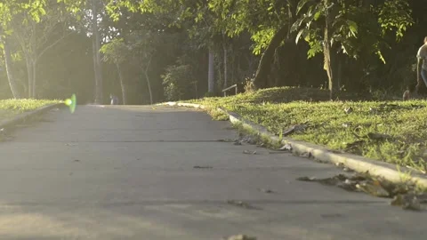 Ground level park walk with sun flare 스톡 동영상 145045730