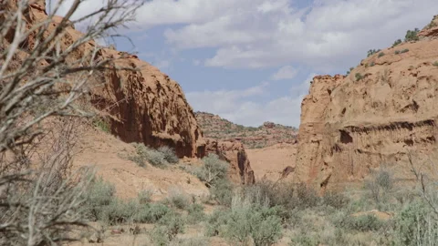 Ground level perspective in desolate, dry Escalante Utah canyon in Spring Stock-Footage 248570833