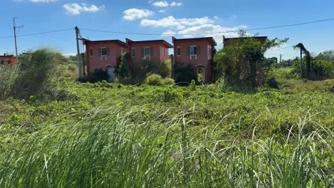 Ground level perspective showing parallel abandoned houses with thick wild Vídeos de archivo 332586441