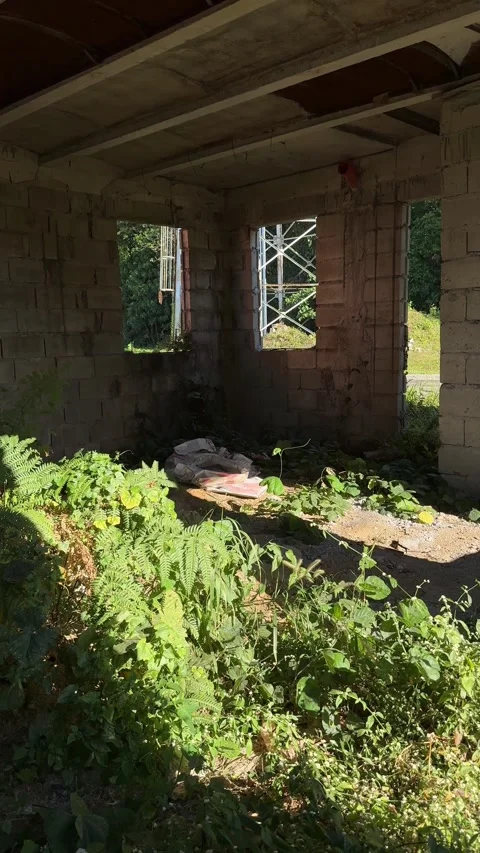 Ground level perspective showing parallel abandoned houses with thick wild Video stock 332926540