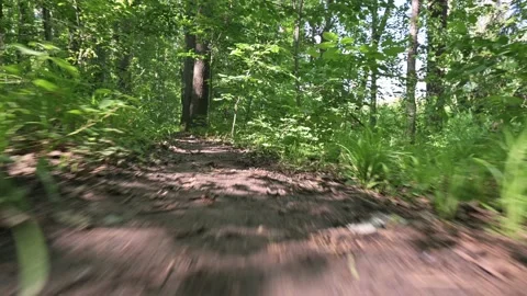 Ground level perspective of walking on footpath in the green forest Stock Footage 132130157