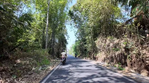 Ground Level POV Drive Along Malang Country Road Stock Footage 345199824