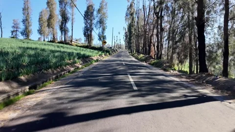 Ground Level POV Drive Through Sukapura Countryside Road Vidéo 345140075