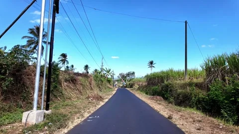 Ground Level POV Road Through Sugarcane Farm Stock Footage 345149293
