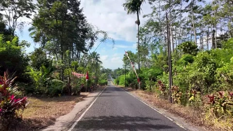 Ground Level Road Through Lush Gucialit Village Lumajang Stock Footage 345153340