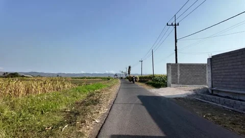 Ground Level Rural Road Through Sumberpucung Fields Stock Footage 345201288