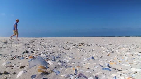 Ground level shot of beach with sharp seashells Stock Footage 146268546