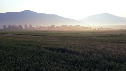 Ground level sunrise view of misty rice paddies and mountains in SE Asia 4K 스톡 동영상 333819361