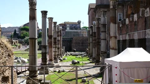 Ground level through rows ancient roman columns lines ruined forum walkway grass Stock Footage 324893833