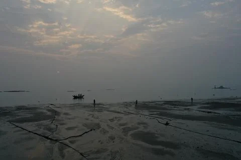Ground-Level Tidal Mudflat on Xiamen in Early March Morning Stock Photos