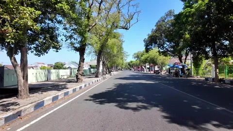 Ground Level Tree Lined Street Scene in Lumajang Видео 345143185
