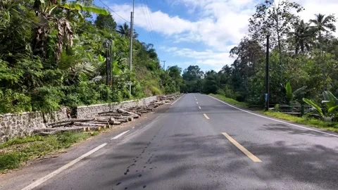 Ground Level Tropical Road Through Lush Forest Stock Footage 345197047