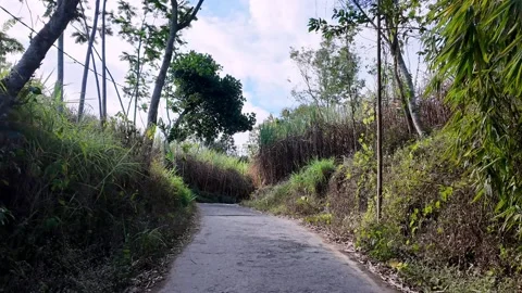 Ground Level View Along Narrow Rural Road Malang Stock Footage 345137310