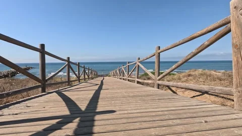 Ground level view along wooden path Stock Footage 297081995