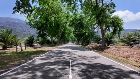 Ground Level View of Asphalt Road at Gunung Ledang Vídeo Stock 332610449