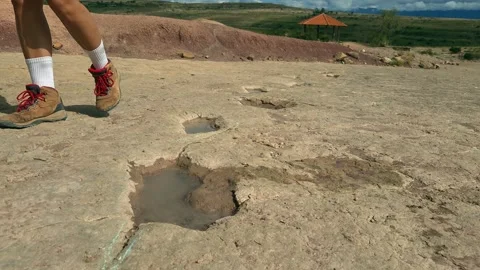 Ground level view of female legs walking past biped dinosaur footprints Stock Footage 325753140