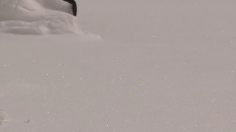 Ground level view of fresh sparkling snowfall being pushed toward the camera Stock Footage 47342137