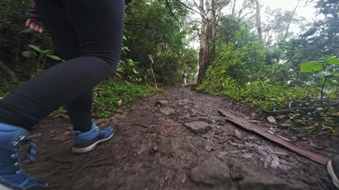 Ground Level View of Hiker Walking On Muddy Forest Trail. Stock Footage 345082952