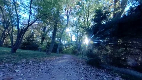 Ground-level view, jogging on pleasant leaf-covered park trail through the woods Vídeo Stock 266765797