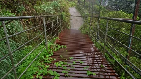 Ground-Level View of Metal Walkway Winding Through Lush Forests Towards Stu.. Video stock 332355730