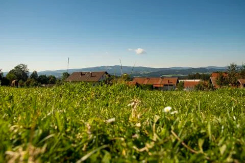 Ground level view over the grass into the distance Stock Photos