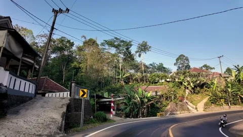 Ground Level View Pronojiwo Winding Tropical Road Stock Footage 345197600