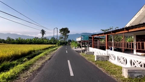 Ground level view of rural road passing rice paddies and houses Stock Footage 345197567
