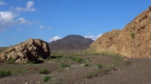 Ground level view of a serene valley where a solitary tree, stock footage. Stock Footage 304783653