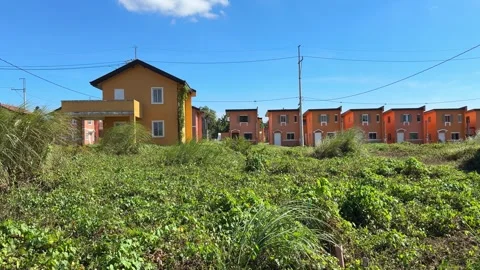 Ground level view showing linear row of abandoned houses surrounded by tall Stock Footage 332586461