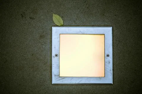 Ground light and green leaf Stock Photos