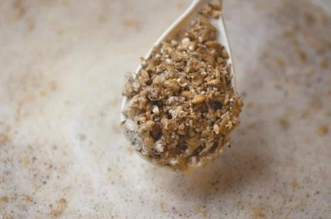 Ground malt on a spoon. Process of making home beer from malt. Craft beer fro Stock Photos