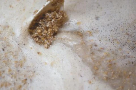 Ground malt on a spoon. Process of making home beer from malt. Craft beer fro Stock Photos