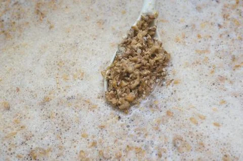 Ground malt on a spoon. Process of making home beer from malt. Craft beer fro Stock Photos